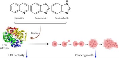 Natural compounds as lactate dehydrogenase inhibitors: potential therapeutics for lactate dehydrogenase inhibitors-related diseases